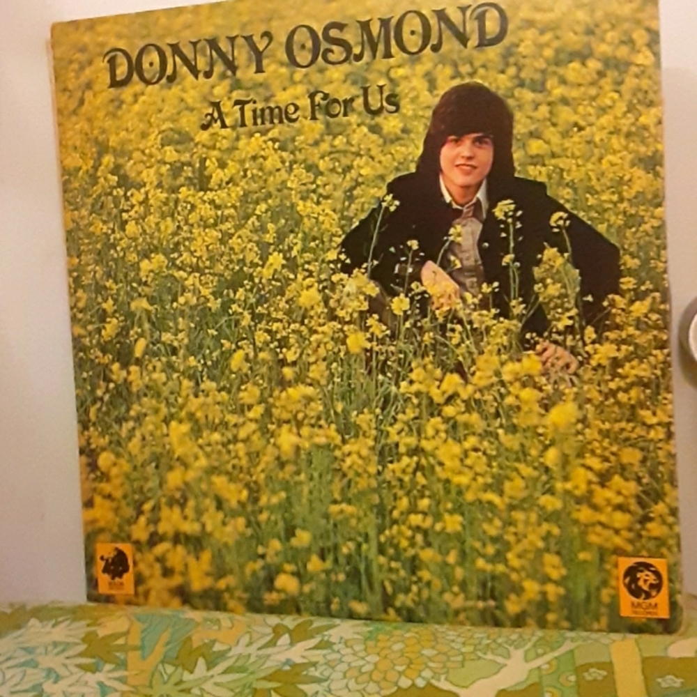 Vintage Vinyl record Donnie Osmond